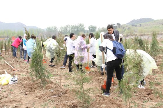 斗山员工于北京怀柔区义务植树