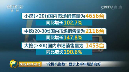 国内大、中、小挖国内销量情况